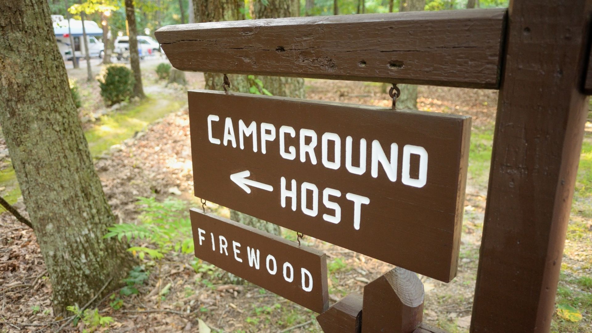 RV setup at a spacious campground site