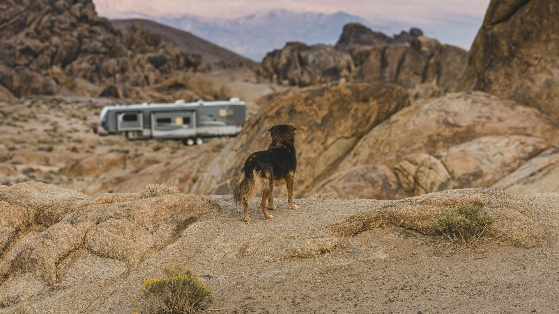 Tent camping at night under campground lighting